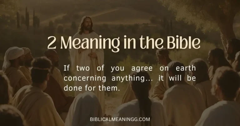 2 Meaning in the Bible