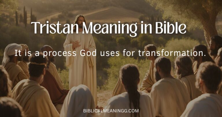 Tristan Meaning in Bible