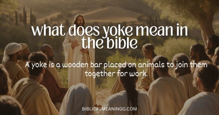 What Does Yoke Mean in the Bible? A Deep Spiritual Meaning
